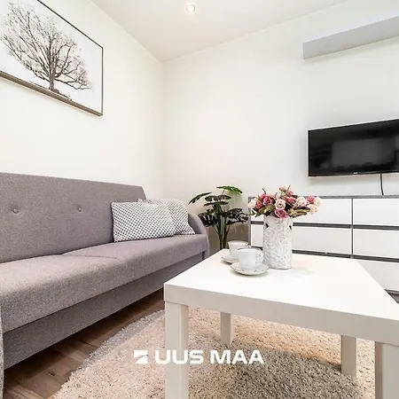 Near Center, Free Parking Apartment